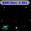 [K80] Herc-1   981