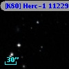 [K80] Herc-1 11229
