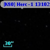 [K80] Herc-1 13102