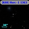 [K80] Herc-1  1363