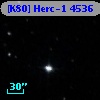 [K80] Herc-1  4536