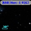 [K80] Herc-1  8562