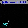 [K80] Herc-1  5896