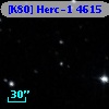[K80] Herc-1  4615