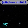 [K80] Herc-1  6019