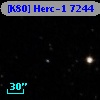 [K80] Herc-1  7244