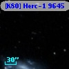 [K80] Herc-1  9645