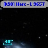 [K80] Herc-1  9657