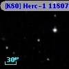 [K80] Herc-1 11807