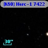 [K80] Herc-1  7422