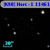 [K80] Herc-1 11461