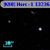 [K80] Herc-1 13236