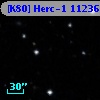 [K80] Herc-1 11236