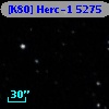 [K80] Herc-1  5275