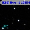 [K80] Herc-1 10854