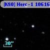 [K80] Herc-1 10616