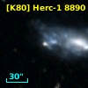 [K80] Herc-1  8890