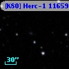 [K80] Herc-1 11659