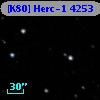 [K80] Herc-1  4253