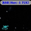 [K80] Herc-1  7592