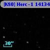 [K80] Herc-1 14134