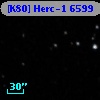 [K80] Herc-1  6599
