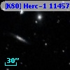 [K80] Herc-1 11457