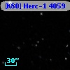[K80] Herc-1  4059