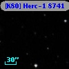 [K80] Herc-1  8741