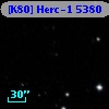 [K80] Herc-1  5380