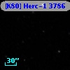 [K80] Herc-1  3786