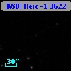 [K80] Herc-1  3622