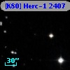 [K80] Herc-1  2407