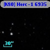 [K80] Herc-1  6935