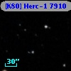 [K80] Herc-1  7910