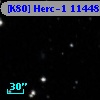 [K80] Herc-1 11448