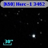[K80] Herc-1  3482