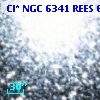 Cl* NGC 6341   REES     644