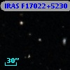 IRAS F17022+5230
