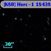 [K80] Herc-1 18438