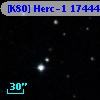 [K80] Herc-1 17444