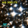 HD 306175