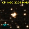 Cl* NGC 2204    MMU    1320