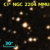 Cl* NGC 2204    MMU    2333