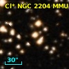 Cl* NGC 2204    MMU    4115