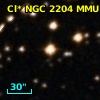 Cl* NGC 2204    MMU    4319