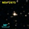 NSV  2975