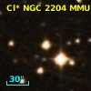 Cl* NGC 2204    MMU    1330