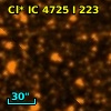 Cl* IC 4725      I     223