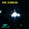 HD 238636